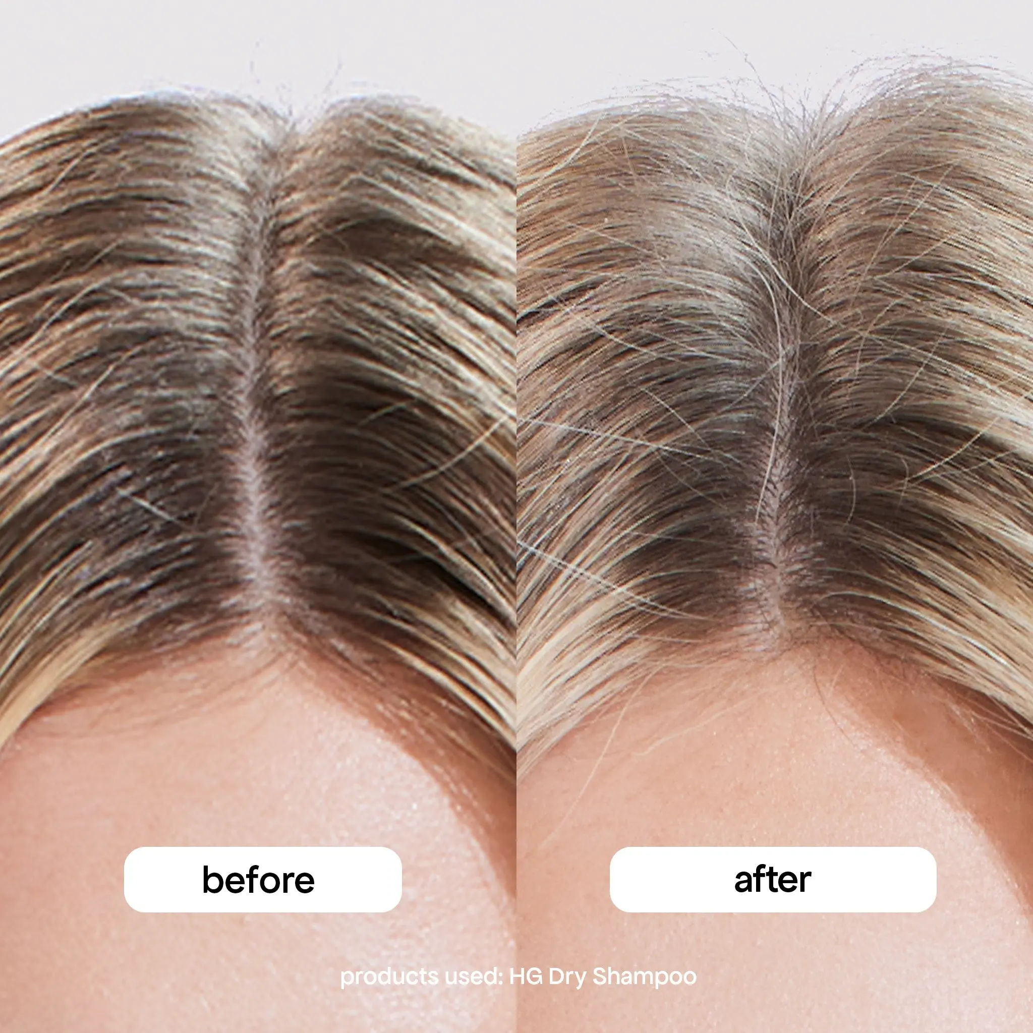 EVERLAST AIRSTYLER & HG DRY SHAMPOO DUO - Image 4