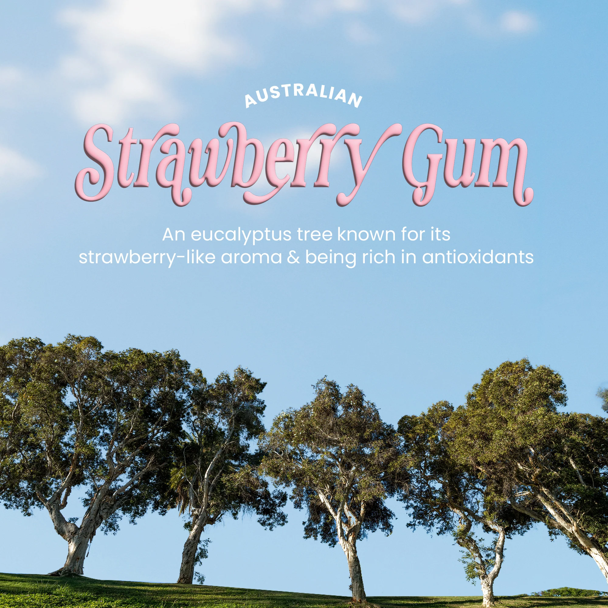 STRAWBERRY GUM GRIP - Image 11